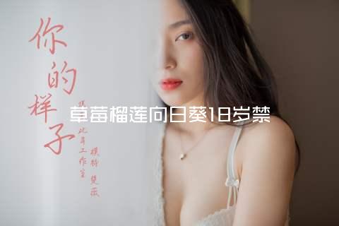 草莓榴莲向日葵18岁禁